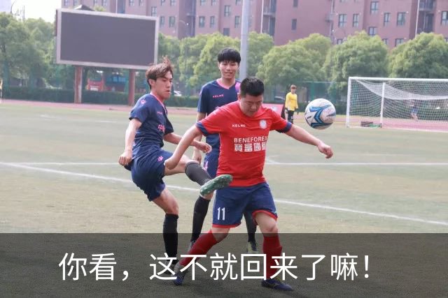 你看，这不就回来了嘛！