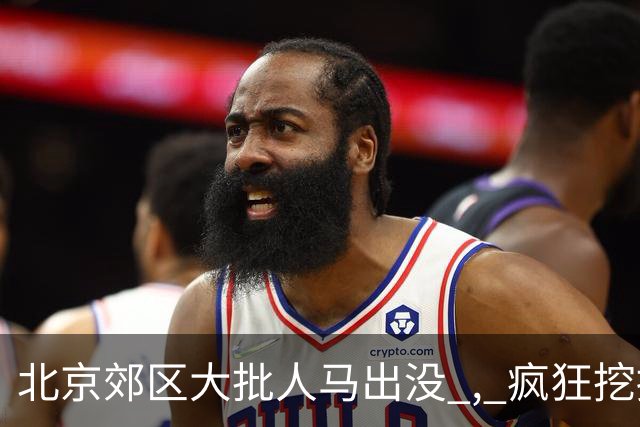 北京郊区大批人马出没 , 疯狂挖掘神秘“黑疙瘩” , 因滥采已岌岌可危