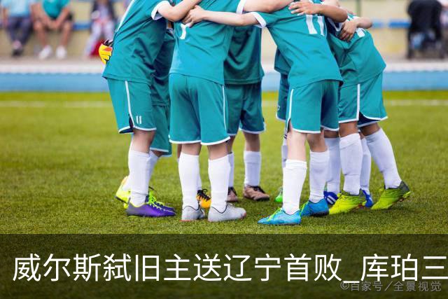 威尔斯弑旧主送辽宁首败 库珀三分7中1无力回天
