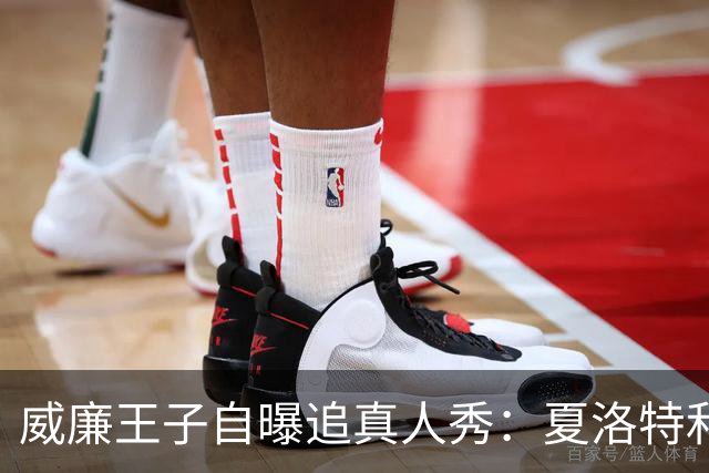 威廉王子自曝追真人秀：夏洛特和路易迷到不行
