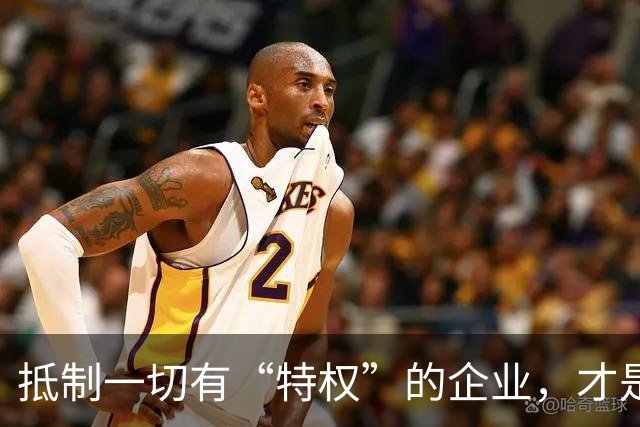抵制一切有“特权”的企业，才是利国利民