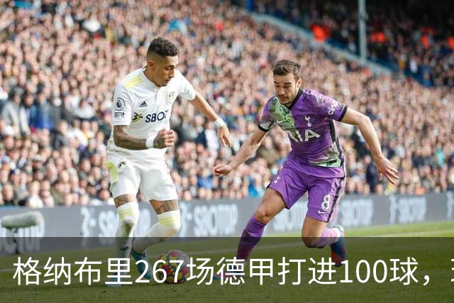 格纳布里267场德甲打进100球，现役德甲球员中第三位百球先生