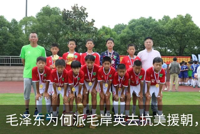 毛泽东为何派毛岸英去抗美援朝，时隔70年，刘思齐才终于说出真相