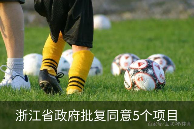 浙江省政府批复同意5个项目