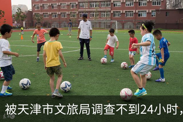 被天津市文旅局调查不到24小时，64岁杨议再迎噩耗！