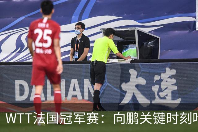 WTT法国冠军赛：向鹏关键时刻吃俩发球，2-3惜败不敌老将奥恰洛夫